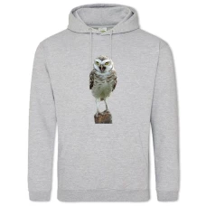 Hoodie with Print Funny Owl - 2XL grey