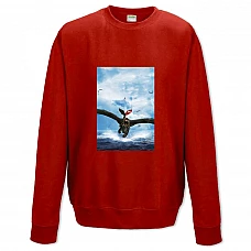 Sweatshort with Print How To Train Your Dragon Water Heroes - XS  red