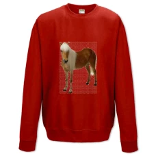 Sweatshort with Print Hors With Funny Mane - XS  red