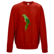 Sweatshort with Print Green Parrot - XS  red
