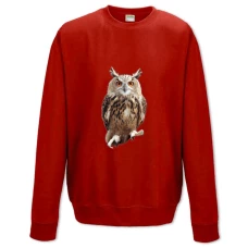 Sweatshort with Print Owl With Orange Eyes - XS  red