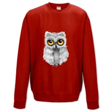 Sweatshort with Print Grey Small Owl - XS  red