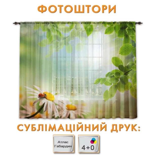 Photo curtains