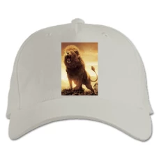 Baseball cap with Print The Chronicles Of Narnia Lion - white
