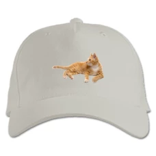 Baseball cap with Print Red Cat Lies - white