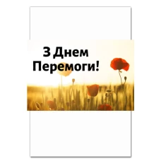 Notebooks A5 with print Peremogi Day Poppy Field -