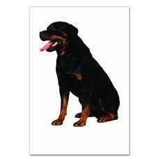Notebooks A5 with print Rottweiler Sits -