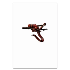 Notebooks A5 with print Red And Black Snake -