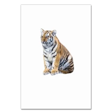 Notebooks A5 with print Small Tiger Sits -