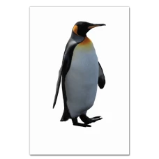 Notebooks A5 with print Penguin -