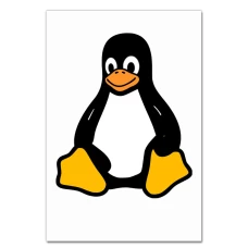 Notebooks A5 with print Penguin From Cartoon -