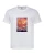 Белый