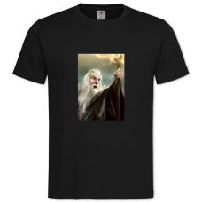 TThe Lord Of The Rings Gandalf -shirt with Print The Lord Of The Rings Gandalf - 2XL black