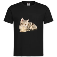 TCute Kitten -shirt with Print Cute Kitten - 2XL black