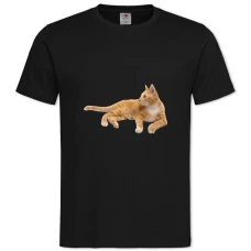 Футболка с принтом Рыжий Кот Лежит - 2XL черная